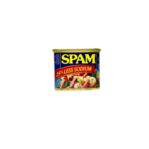 SPAM