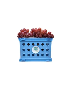 UVAS ROJAS