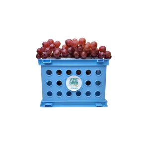 UVAS ROJAS