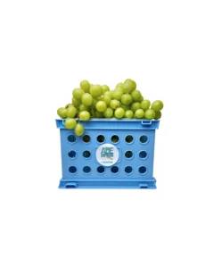 UVAS VERDES