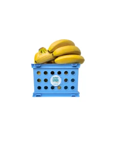 BANANAS